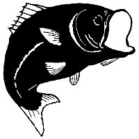 Black and white fish pattern.
