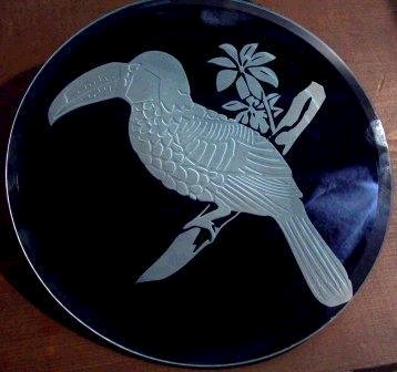 Mirror etching of a toucan.