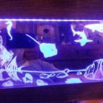 LED mirror etching depicting ocean life.