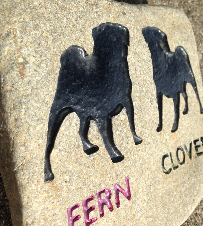engraved rock pugs