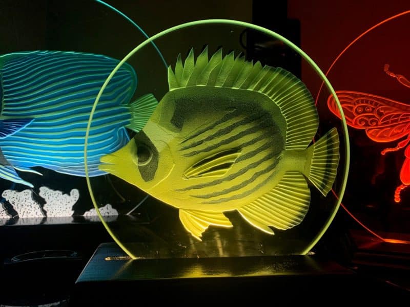 fish glass etching with colored led lights