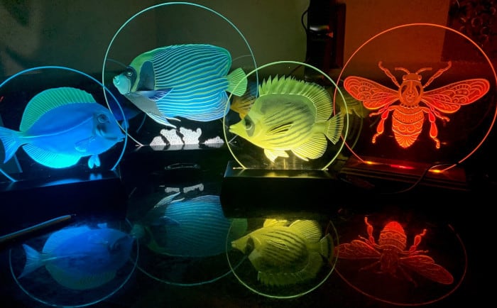 fish sandcarving on circle led glass