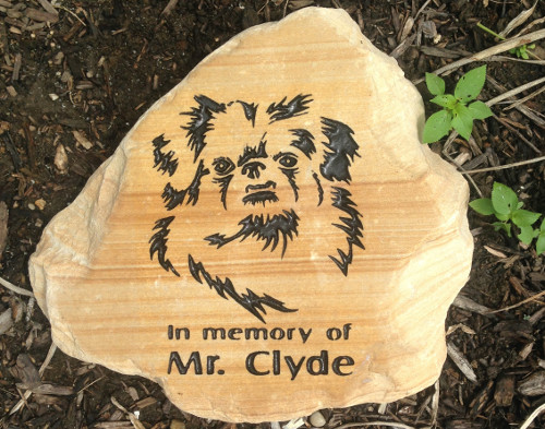 Pet memorial on rocks.