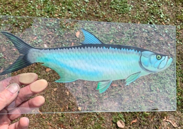 tarpon fish etched and painted 2