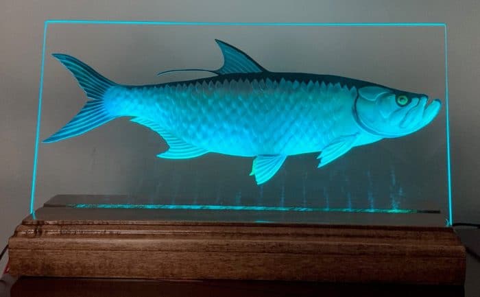 tarpon fish etched and painted