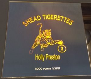 tiger mirror etching